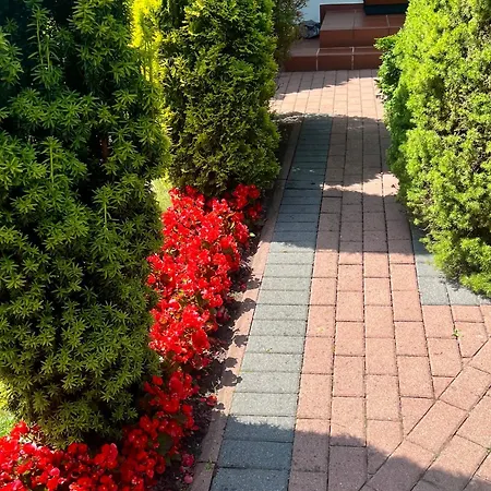 度假居 For Dom Dla 10 Osob Białogóra