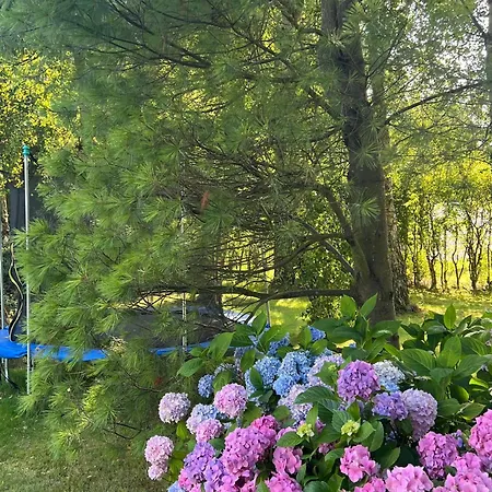 度假居 For Dom Dla 10 Osob *