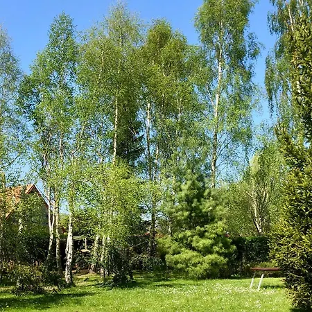 For Dom Dla 10 Osob *