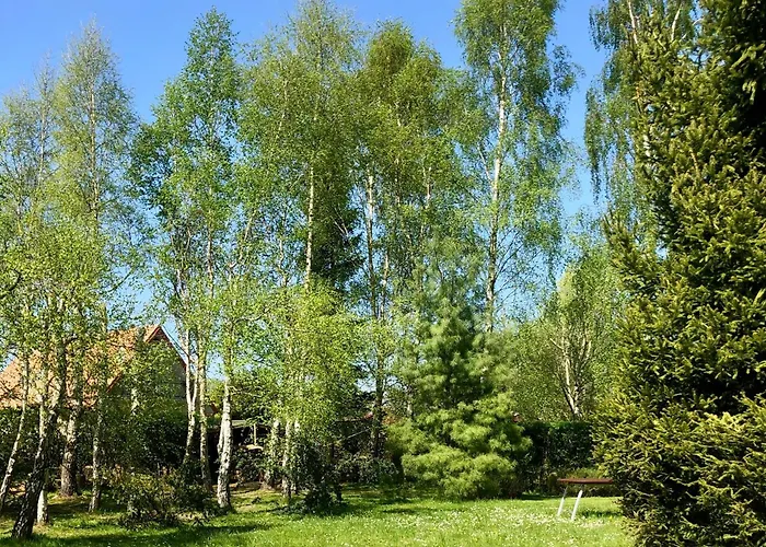 For Dom Dla 10 Osob *